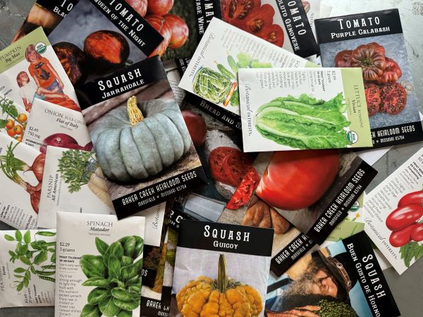 Seed Organization Tips that Will Improve How You Garden - In the Potager